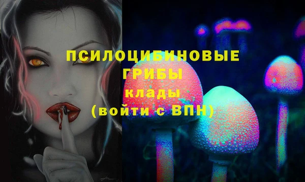кокс Алексеевка